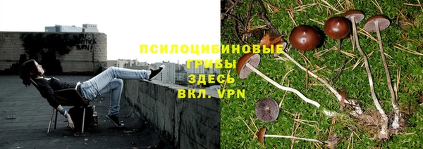 каннабис Балабаново