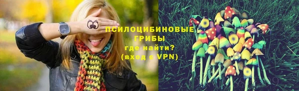 дживик Пестово
