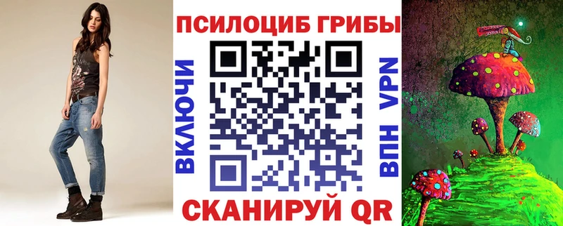 Псилоцибиновые грибы Cubensis  Сурск 